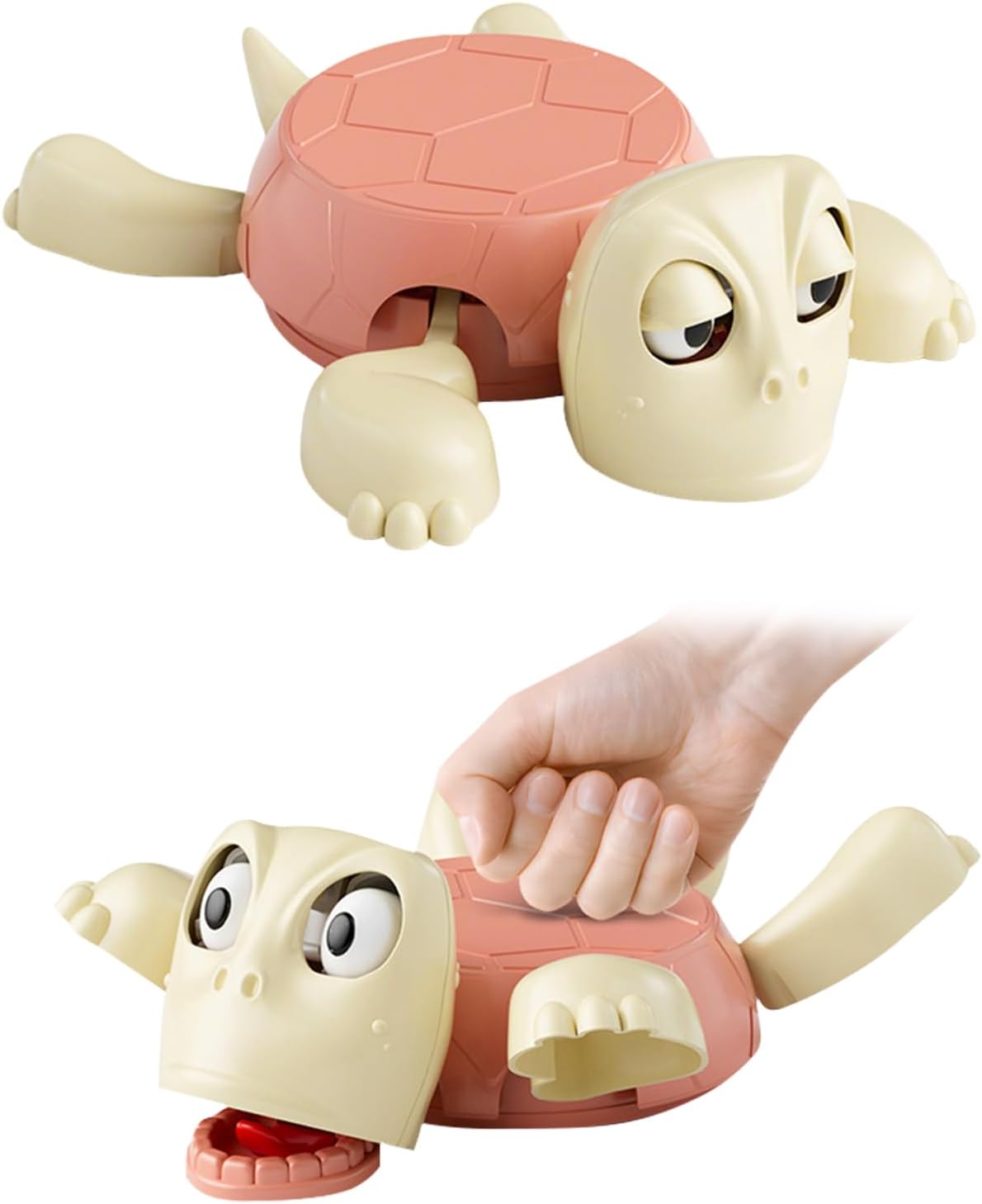 Desk Buddy --- Turtle Coaster π’π₯